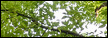 back.gif (2895 bytes)